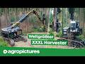 Holzernte XXL Mit Dem 64 Tonnen Mega Harvester IMPEX Hannibal T60 Forst Doku Extrem XXL Maschine