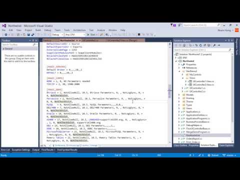 Using values from ini in the Visual Studio Designer