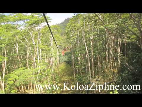 Koloa Zipline Kauai Zip Line