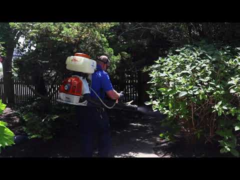 Treating for Mosquitoes in Point Pleasant Beach, NJ