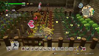 DQB2 ムーンブルク城再建計画
