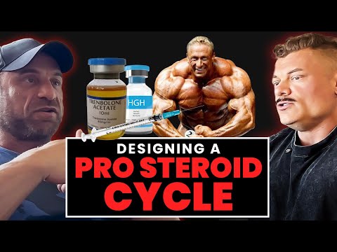 Full Contest Prep Steroid Cycle by IFBB Pro Dr Todd Lee