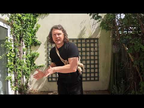 3 Drills to Maximise your MATADOR