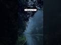 Top 5 Best Offbeat Places In South India Praveensharma Monsoon Indiannature Southindian