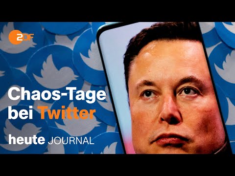 heute journal from 12.11.2022 Chaos on Twitter, ASEAN summit, Baltic Sea flood of the century (ук...