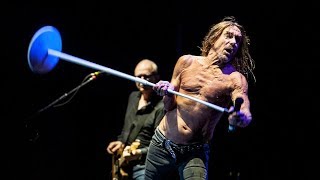 Iggy Pop (2016) - Festival Bue, Argentina