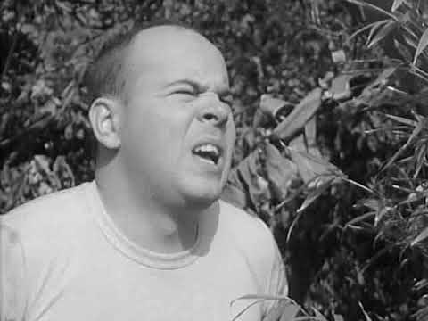 McHales Navy S3E17 - The PT 73 Follies