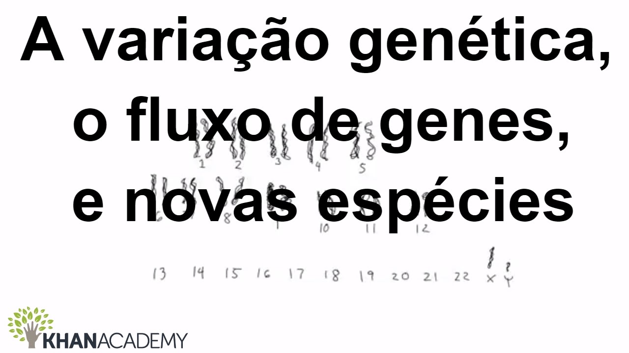 A variação genética, o fluxo de genes, e novas espécies | Biologia | Khan Academy