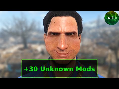 Fallout 4, but I don't Know the Mods