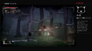 ＃3【salt and sanctuary】LEMONed　初見