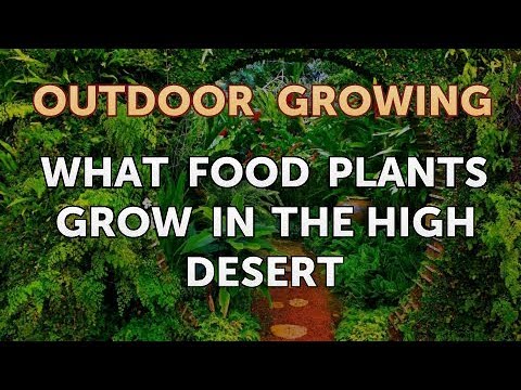 Will Salt or Vinegar Kill Bamboo