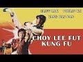 Wu Tang Collection Choy Lee Fut Kung Fu