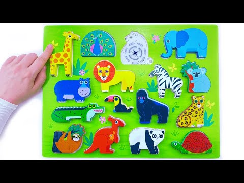 Animal Puzzle, Real Animals and Fun Facts