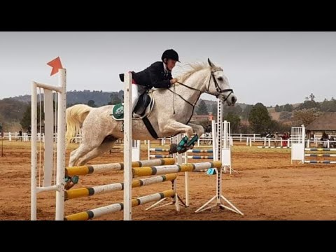Seyunique Equestrian- Even with a tumble they won their class.