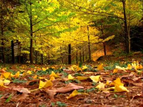 Autumn Leaves - Coleman Hawkins