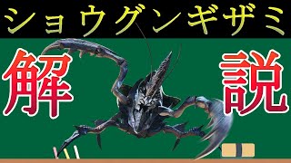 ショウグンギザミってどんなモンスター？【モンスターハンター解説】