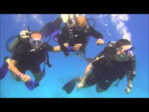  дайвинг  (06.05.2013)