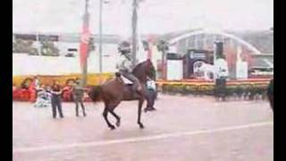 preview picture of video 'Feria Abril Las Palmas de Gran Canaria Exhibición caballos Doma Vaquera Arucas'