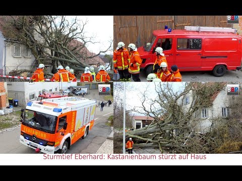 Sturmtief Eberhard: Riesiger Baum auf Haus, Backnang-Maubach, Germany, 10.03.2019.