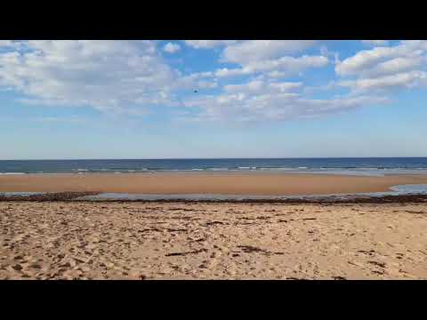 Belhaven Bay beach, Dunbar, Scotland ☀️☀️☀️