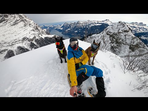 snow hiking // Attinghausen-Brüsti