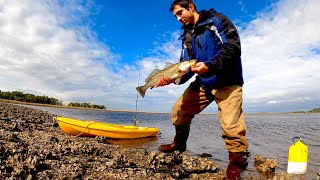 Wintertime Cast and Blast in Steinhatchee - Reds, Trout, and Hog Hunting