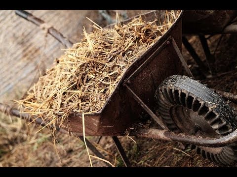 How to Prepare Garden Soil for Planting | Planet Natural