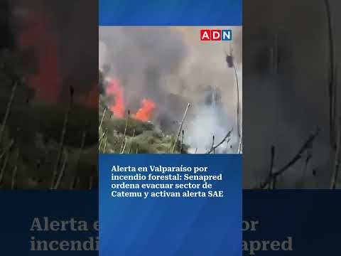 Alerta en Valparaíso por incendio forestal: Senapred ordena evacuar sector de Catemu