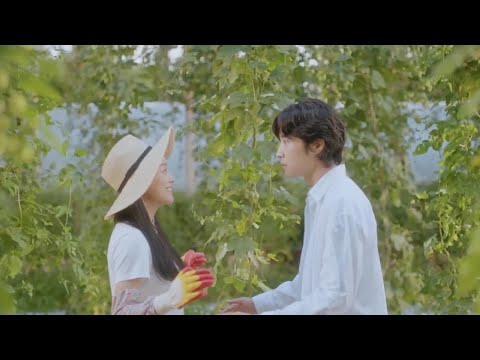 OWNER OF THE BREWERY CAN SENSE FEELINGS FELL INLOVE WITH A LADY SOLDIER - BREWINGLOVE