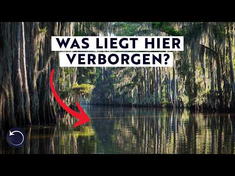 Mysteriöse Entdeckung im Sumpf der USA schockiert Archäologen!