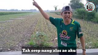 Download lagu Story Wa Lucu || Kenek Cinta Dadi Goblok Ndadak🤣 mp3 Download lagu Story Wa Lucu || Kenek Cinta Dadi Goblok Ndadak🤣 mp3