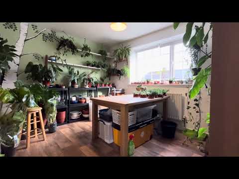 Sunnyhill Crescent, Wrenthorpe - Virtual Tour