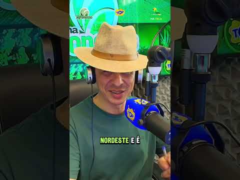 MS, o Vale da Celulose! 🌳