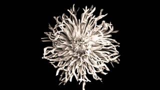 Noir & Haze - Around (Original mix)