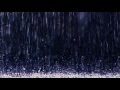 Прости меня, моя последняя любовь 