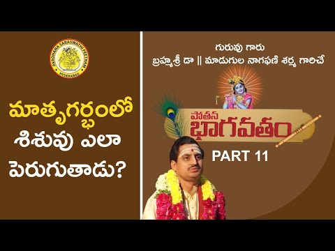 శ్రీ పోతన భాగవతం by Brahmasri Dr. Madugula Nagaphani Sarma | Episode 11 |Avadhana Saraswathi Peetham