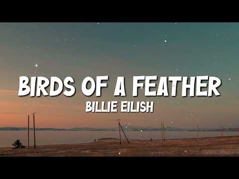 Billie Eilish - BIRDS OF A FEATHER (lyrics)