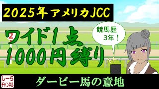 【2025年アメリカジョッキークラブカップ】久々の診断書【しーらch】