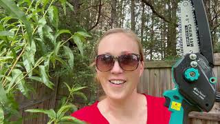 Review of the DocSmart Cordless Pole Saw & Mini Chainsaw, 2-IN-1 6 inch Electric Handheld Chain Saw