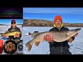 Video Thumbnail for Ice Fishing for 24 Hours Straight (Catch Clean Cook)