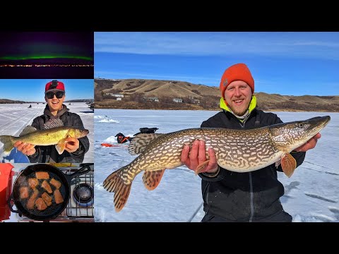 Ice Fishing for 24 Hours Straight (Catch Clean Cook)