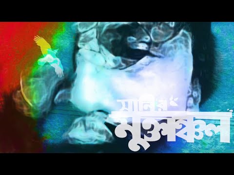 Tumi Ki Jante (Official Audio) | Sunny | Muktanchol(মুক্তাঞ্চল) | Arafat Mohsin