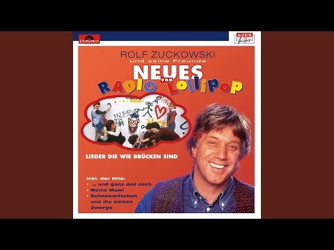 Lieder, die wie Brücken sind