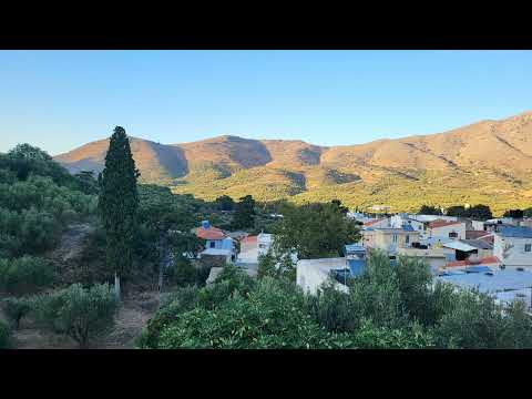 World Satsanga 29 10 2025