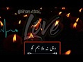 HALE DIL LIKHA New Tik Tok Urdu Shayari Video New Status Video Tik Tok Sad Shayari Whatsapp