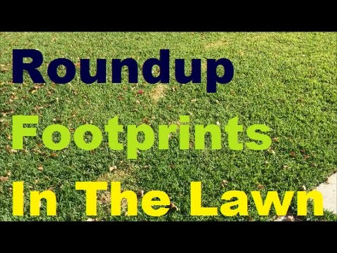 Roundup Footprints In The Lawn - BE VERY VERY CAREFUL Video