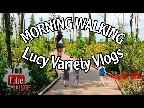 8-6-2022 Morning Walking