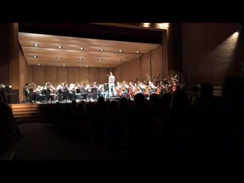 NHS Symphonic Orchestra