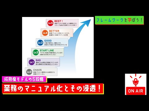 能力成熟度モデルの統合 - 定義