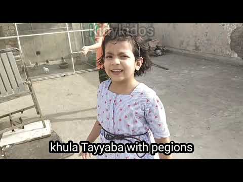 osaid Raffay with birds | میاں مٹھو| different parrots | kidykidos